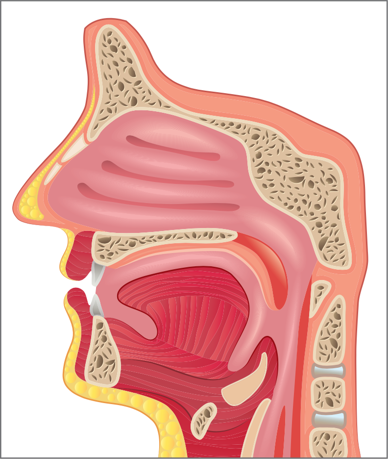 Симптомы заложенность носа без насморка. Насморк заложенность носа. Заложенности в носоглотке.
