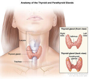 10 years of complications of hyperparathyroidism cured by SPECT CT Imaging Technology