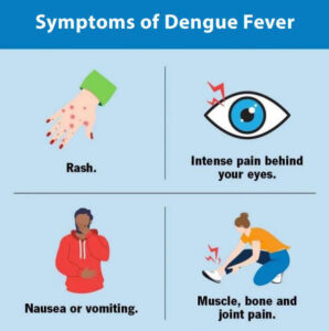 Dengue Fever