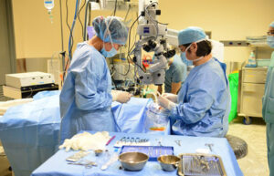 Imported corneas offer more opportunities for patients who require corneal transplants in Vietnam to regain their sight