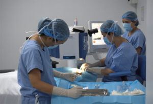‘Rejuvenating’ vision for aging eyes