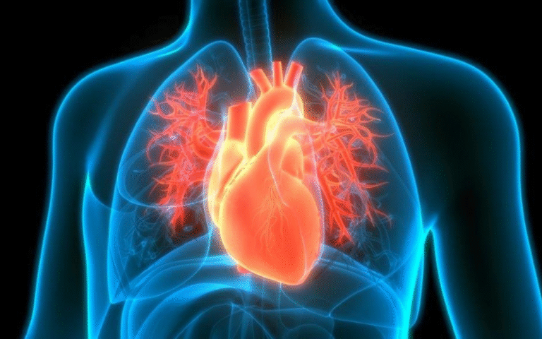 Nguyên nhân gây ra bệnh tim mạch: Những điều nhất định bạn phải biết!