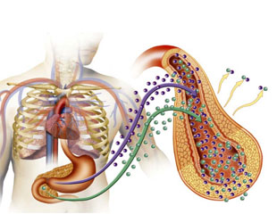 Diabetes Patient Education Guide