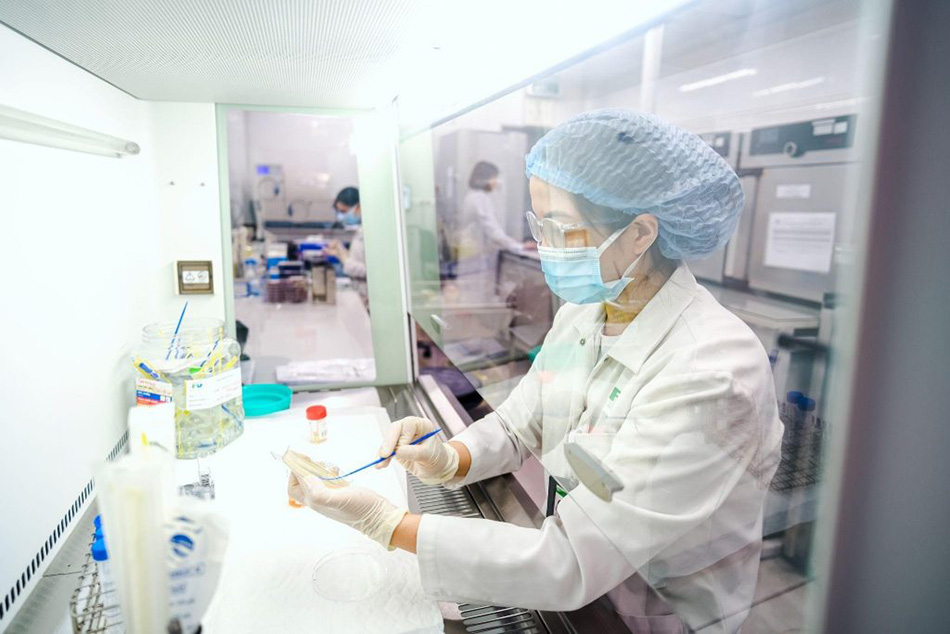 The bacterial culture and diagnostic procedures are performed promptly at FV Hospital to identify the exact cause of infection, enabling immediate and accurate treatment.