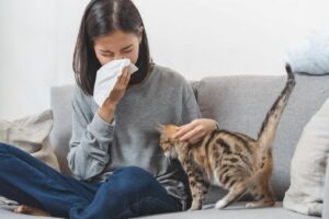 7 dấu hiệu viêm xoang mũi dị ứng dễ bị nhầm lẫn