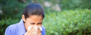Viêm xoang mũi dị ứng: Nguyên nhân, triệu chứng và cách điều trị